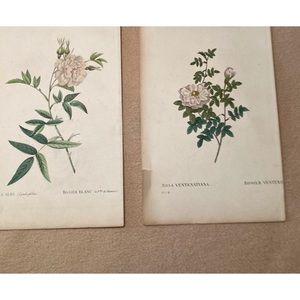 Two prints from original etchings, florals